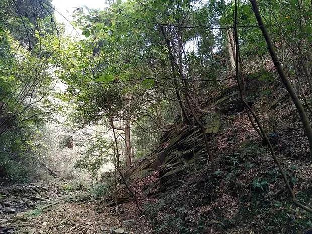 (G)I-DLE后天的新专发布会取消,是否推迟回归,要看成员身体情况